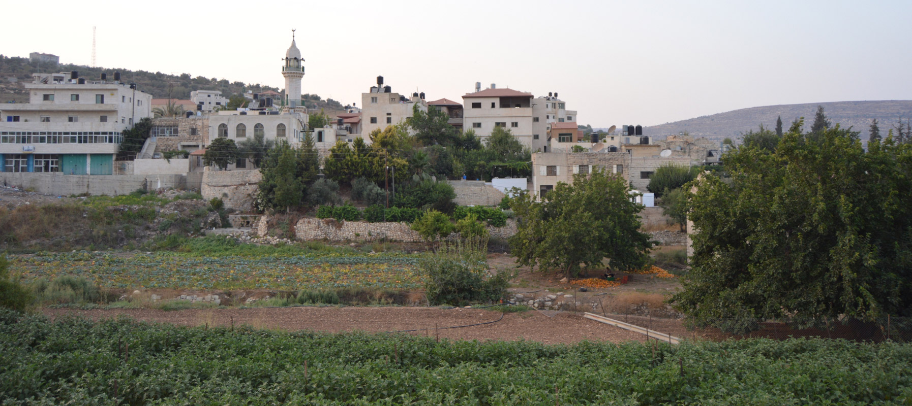 Ein sinya Palestine