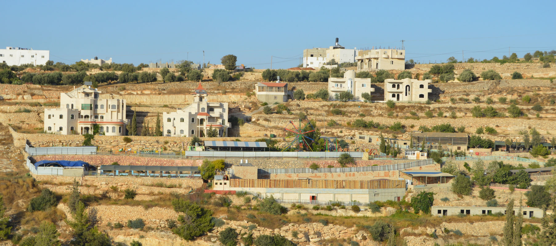 Krehse Palestine