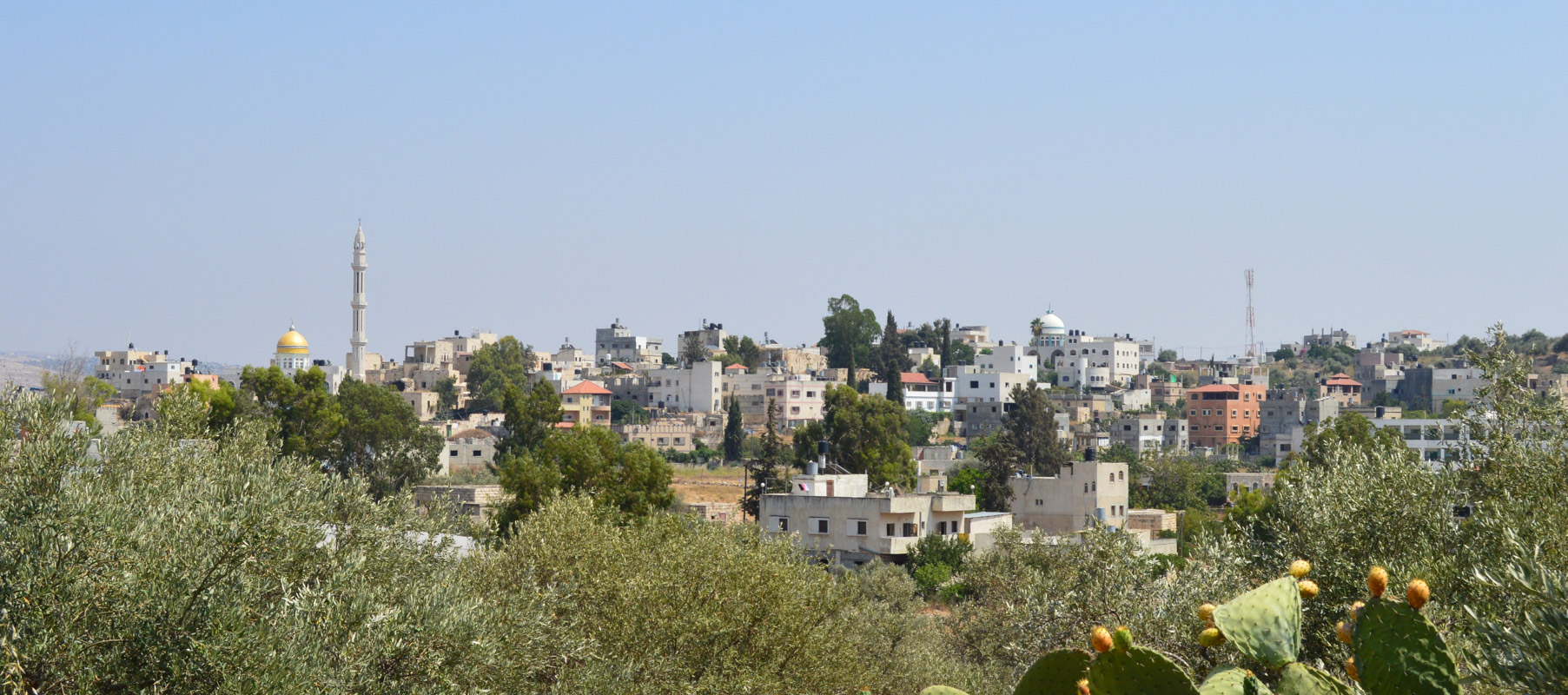 Rantis, Palestine