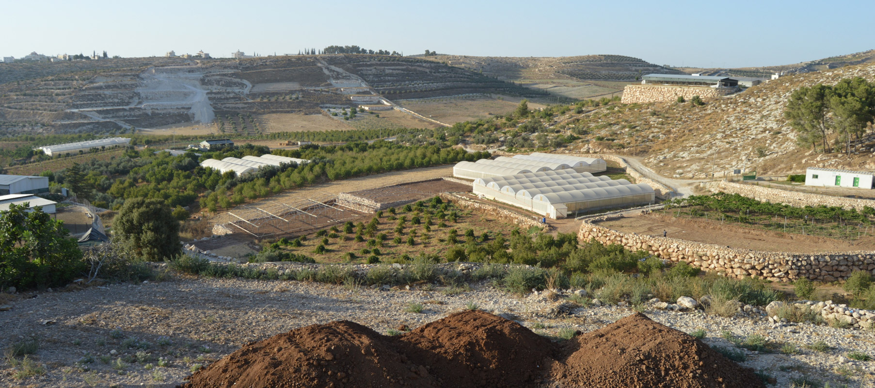 Suba, Palestine