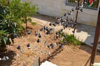 Difficult Neighbours, Nabi Salih - Welcome to Palestine