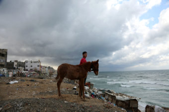 A Horse and His Boy - Mohammed Zaanoun