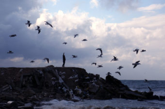 Feeding the Birds - Mohammed Zaanoun