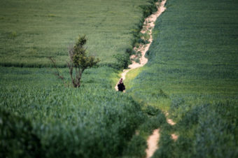 A Country Stroll - Mohammed Zaanoun