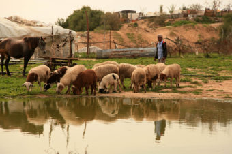 We All Need a Watering Hole - Mohammed Zaanoun