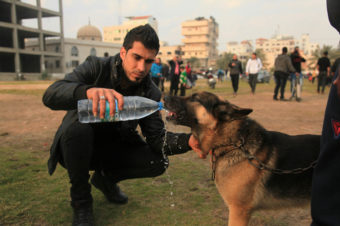 A Hot Day in Gaza - Mohammed Zaanoun