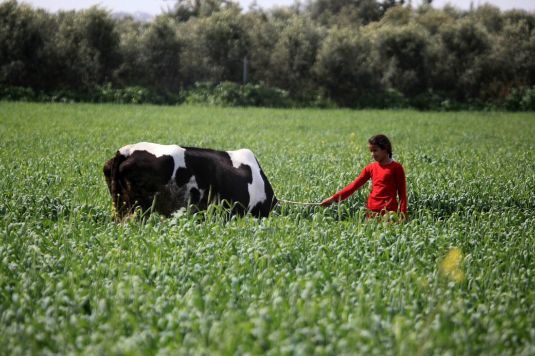 Photo by: Mohammed Zaanoun